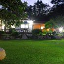 솔바람 들꽃향기 이미지