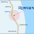 동해곰치 이미지