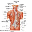 피트니스마틴 이미지