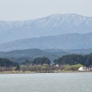 벚꽃필무렵