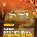 양재천 수변무대4 | 2025 양재아트살롱 가을마켓 (~10.19) / 소개 방문후기