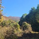 모악산도립공원 이미지