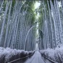 하얀풍경 이미지