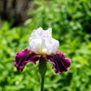 이안한방병원 이미지