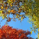 탄금대궁도장 이미지