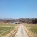 영춘당한약국 이미지