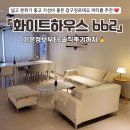 화이트하우스 | [강남 파티룸] 단체모임 하기 좋은 &#34;화이트하우스 662&#34; 솔직후기 ✍️