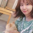 다시사랑받개 이미지