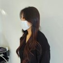 리안헤어산곡더루츠