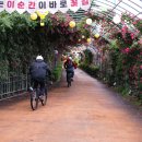 순천-61호 이미지
