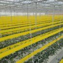 천창일농장 이미지