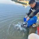 시리미농장 이미지