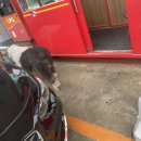 연안충전소 이미지