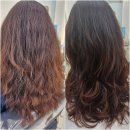 다옴헤어 :: 머리 잘하는 안산 와동 미용실 대만족 추천후기 내돈내산(남자머리도 잘해요)