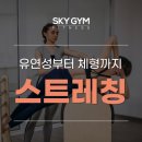 스카이짐 피트니스 괴정점 이미지