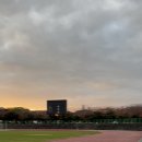 중앙종합정비 | 🏃‍♀️ 제주종합경기장 애향운동장 트랙런 후기