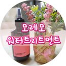 박시연 물미역트리트먼트 모레모 워터트리트먼트 솔직후기