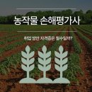 손해평가사 1차 - 상법 보험편 | 농작물 손해평가사 취업 방안 자격증은 필수일까?