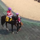 우리집 식당 이미지