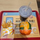 시외버스터미널 앞 | 아산모종동 햄버거맛집 전주비빔라이스버거가 맛있는 롯데리아 온양온천점