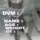 그린벨 이콰인 동물병원 이미지