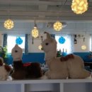 원주 우산동 행정복지센터 이미지