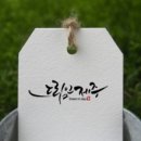 드림인제주 이미지