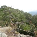 거북회관 이미지