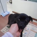 아카PC방 이미지