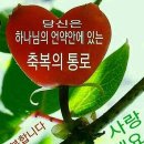 축복의통로 이미지