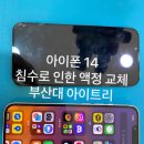 📱 부산 아이폰14 액정교체 | 침수로 먹통된 화면 수리 후기 (부산대 아이트리)