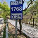 분설담화장실 이미지