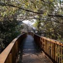 자연등잔길 이미지