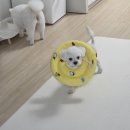 더 예쁘개 이미지