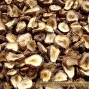 자유인의 카라반 이미지