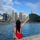 달링하버 2 | 시드니 소피텔 달링하버 후기 | 신혼여행 숙소 추천 수영장 까지