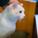 가배스토리 이미지