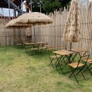 탄스비치 이미지