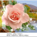 과실온 이미지