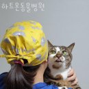 하트온동물병원