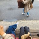 백종원 3대천왕 맛집 안양 인덕원역 에버그린 돈까스 후기(부모님 만족도 상)주차,웨이팅정보까지