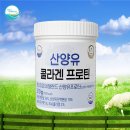 이영은목장 | 산양유 단백질로 단백질 보충하세요 에버스샵 산양유콜라겐프로틴 솔직후기