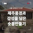 선흘숲 | 릴스 촬영 제주 풍경과 감성을 담은 숏폼 만들기 선흘동백동산 도서관 수업 후기