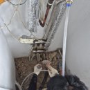 부송우미 이미지