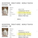 월드 PC방 | 세븐틴 [RIGHT HERE] 월드투어 in 고양 티켓팅 후기(인터파크, pc방 티켓팅)