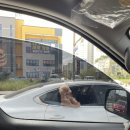 호성계곡 이미지