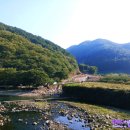 하동군청암면위태보건진료소 | 하동 물안골 편백나무 숲 길 [ 힐링다큐 나무야 나무야 이소연편을 보고 떠난 숲속 여행 ]