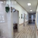 용이푸른약국 이미지