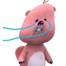 해모랏 이미지