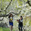 생태터널입구 이미지